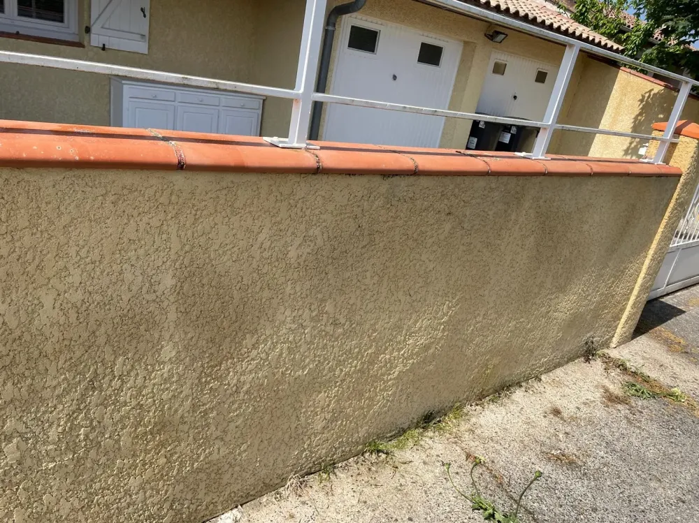 Création brise vue  2