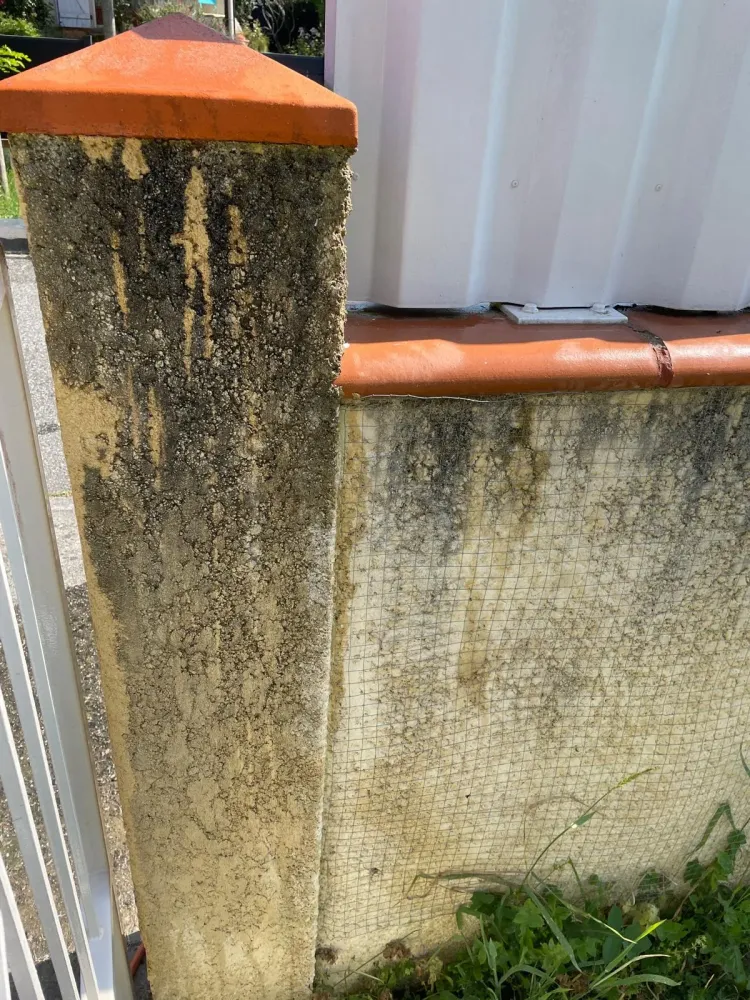 Création brise vue 4