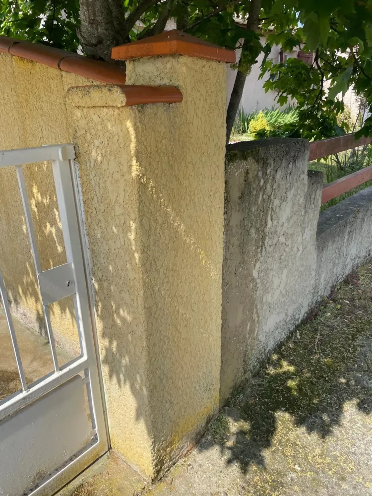 Les furets renov galerie (2)