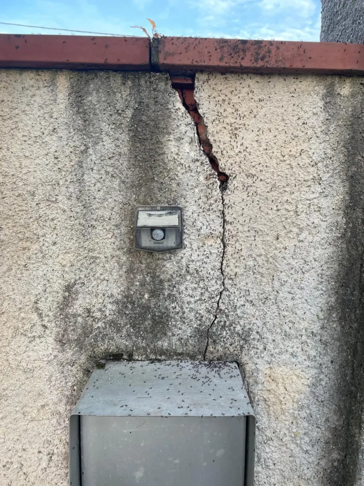 Les furets renov galerie (7)