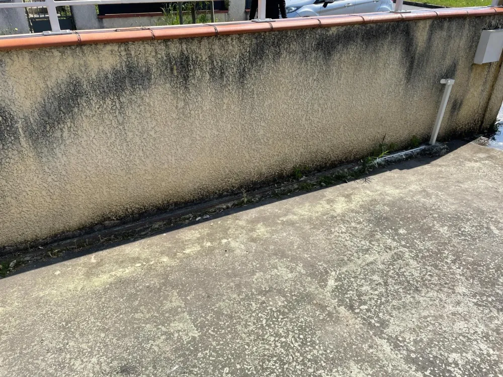 Nettoyage des Murs 1