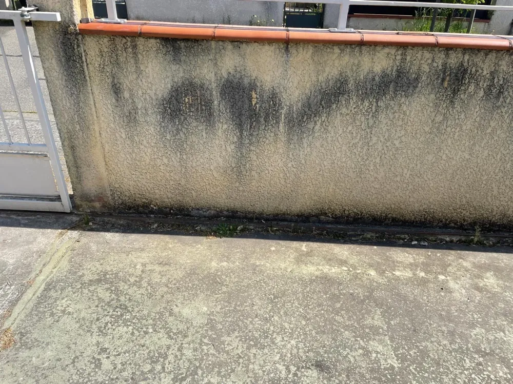 Nettoyage des Murs 2