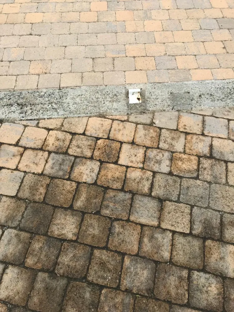 Nettoyage des sols 1