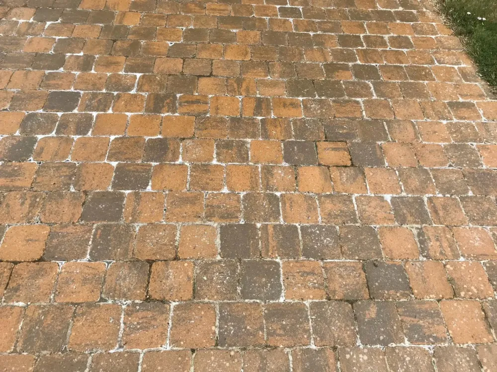 Nettoyage des sols 4