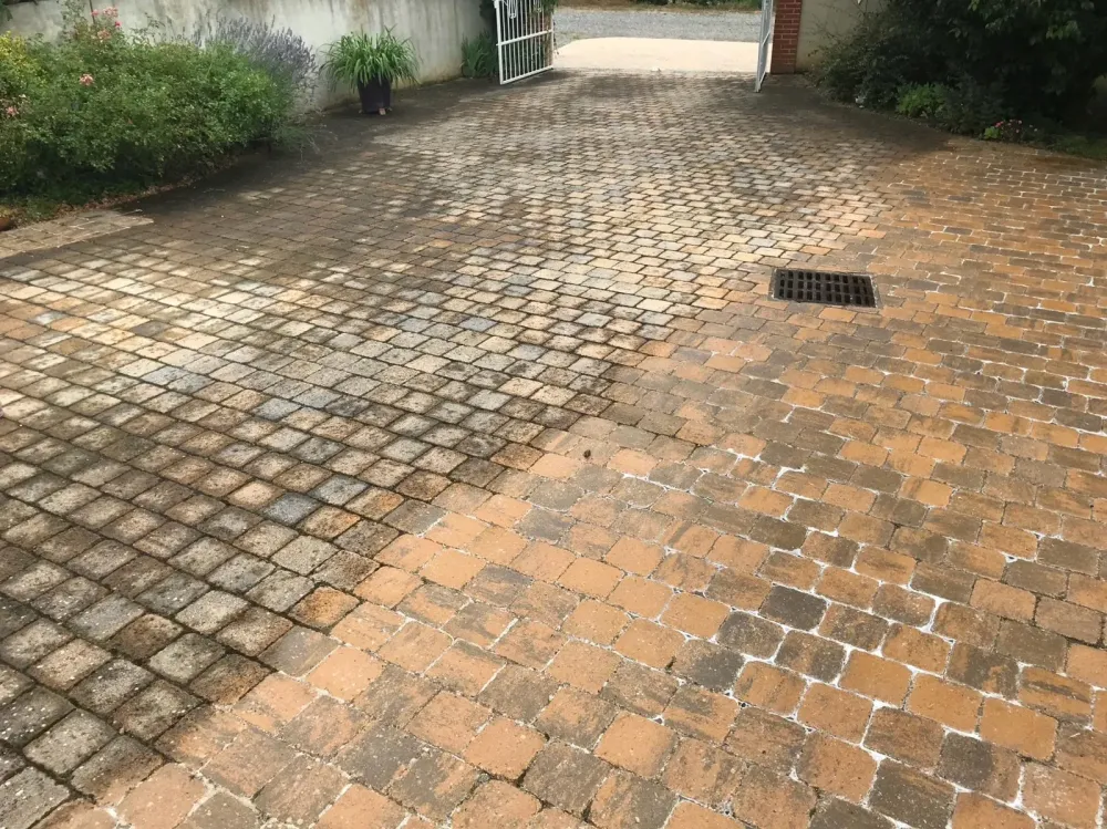 Nettoyage des sols 5