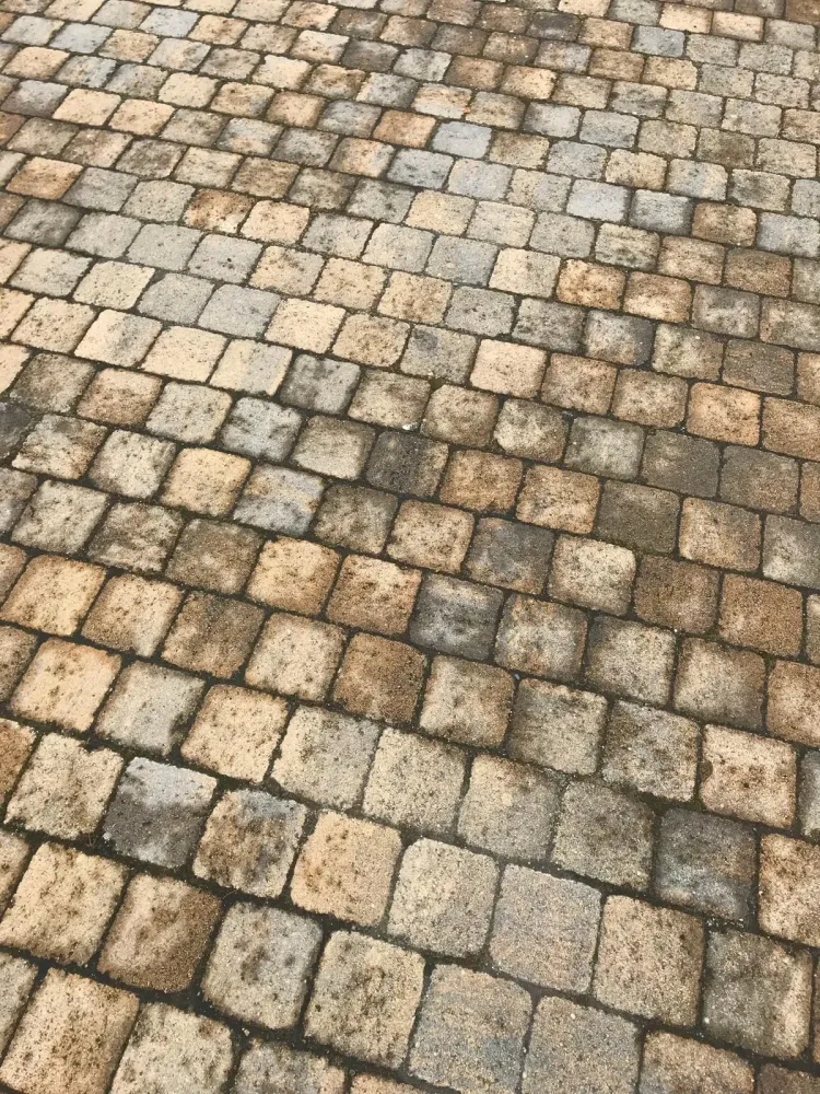 Nettoyage des sols 6