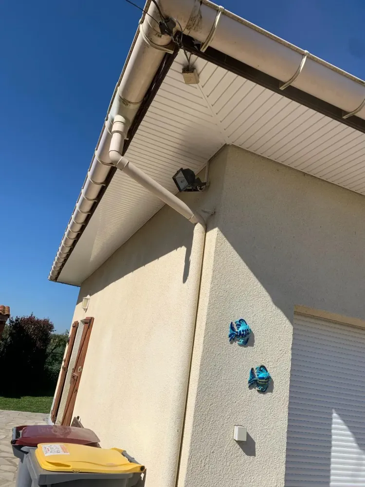 Remplacement Planche de rive